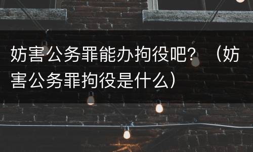 妨害公务罪能办拘役吧？（妨害公务罪拘役是什么）