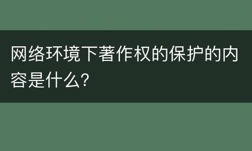 网络环境下著作权的保护的内容是什么？