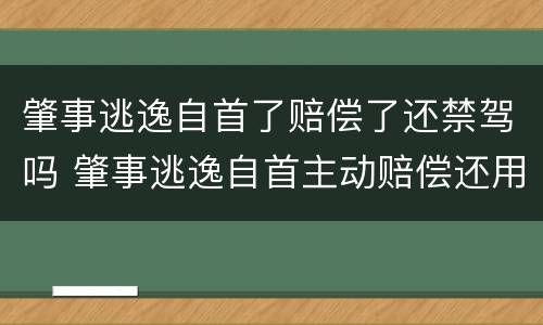 肇事逃逸自首了赔偿了还禁驾吗 肇事逃逸自首主动赔偿还用坐牢吗