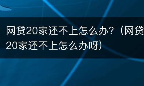 网贷20家还不上怎么办?（网贷20家还不上怎么办呀）