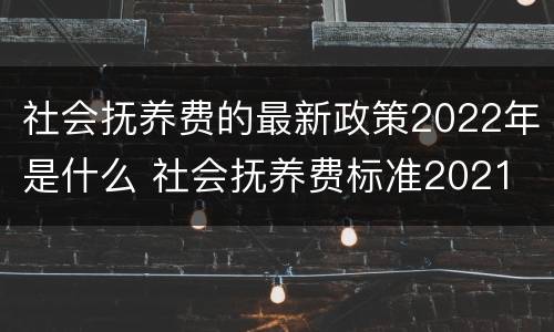 社会抚养费的最新政策2022年是什么 社会抚养费标准2021