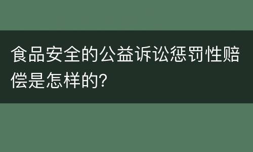 食品安全的公益诉讼惩罚性赔偿是怎样的？