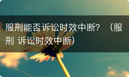 服刑能否诉讼时效中断？（服刑 诉讼时效中断）