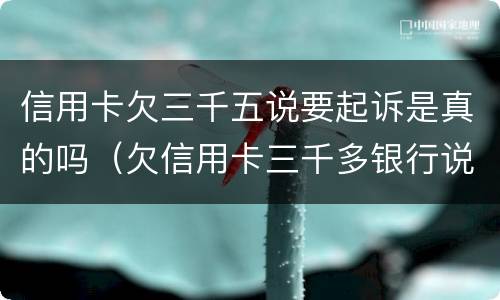 信用卡欠三千五说要起诉是真的吗（欠信用卡三千多银行说起诉我）