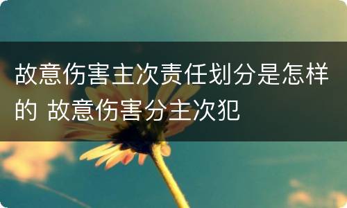 故意伤害主次责任划分是怎样的 故意伤害分主次犯