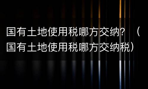 国有土地使用税哪方交纳？（国有土地使用税哪方交纳税）