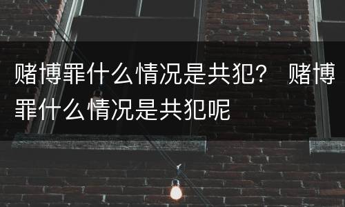 赌博罪什么情况是共犯？ 赌博罪什么情况是共犯呢