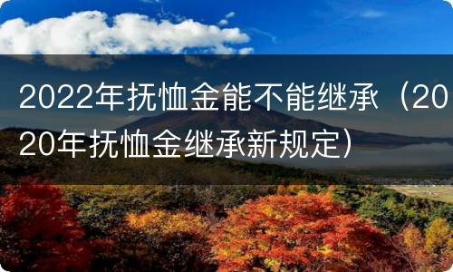 2022年抚恤金能不能继承（2020年抚恤金继承新规定）