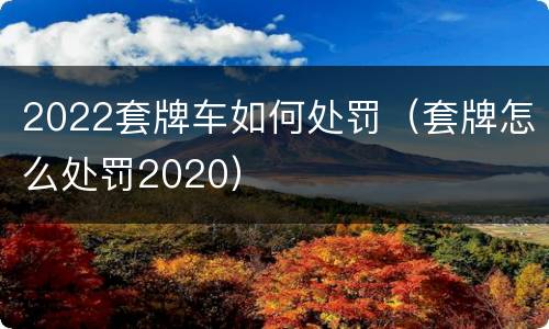 2022套牌车如何处罚（套牌怎么处罚2020）