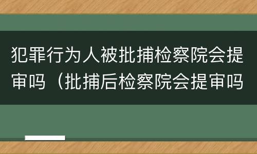 犯罪行为人被批捕检察院会提审吗（批捕后检察院会提审吗）