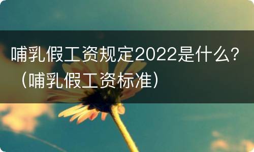 哺乳假工资规定2022是什么？（哺乳假工资标准）