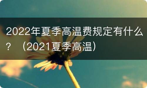 2022年夏季高温费规定有什么？（2021夏季高温）