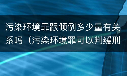 污染环境罪跟倾倒多少量有关系吗（污染环境罪可以判缓刑吗）