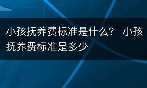 小孩抚养费标准是什么？ 小孩抚养费标准是多少