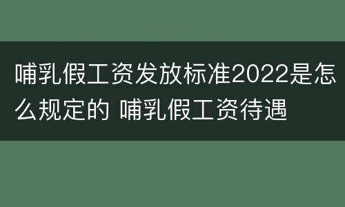 哺乳假工资发放标准2022是怎么规定的 哺乳假工资待遇