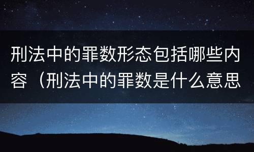 刑法中的罪数形态包括哪些内容（刑法中的罪数是什么意思）