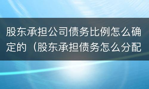 股东承担公司债务比例怎么确定的（股东承担债务怎么分配）