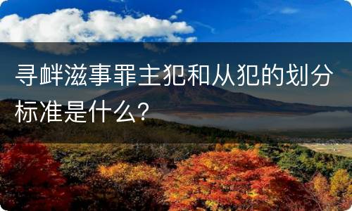 寻衅滋事罪主犯和从犯的划分标准是什么？