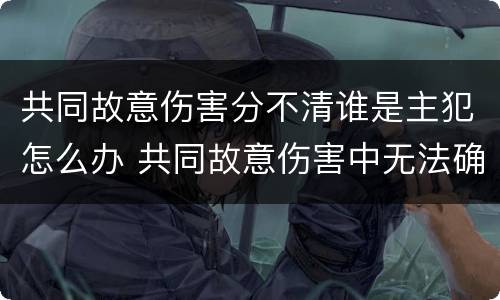 共同故意伤害分不清谁是主犯怎么办 共同故意伤害中无法确定伤害