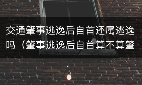 交通肇事逃逸后自首还属逃逸吗（肇事逃逸后自首算不算肇事逃逸）