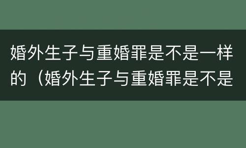 婚外生子与重婚罪是不是一样的（婚外生子与重婚罪是不是一样的行为）