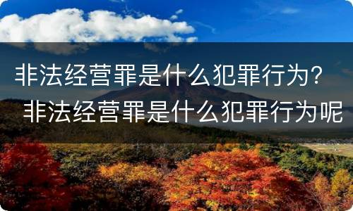 非法经营罪是什么犯罪行为？ 非法经营罪是什么犯罪行为呢