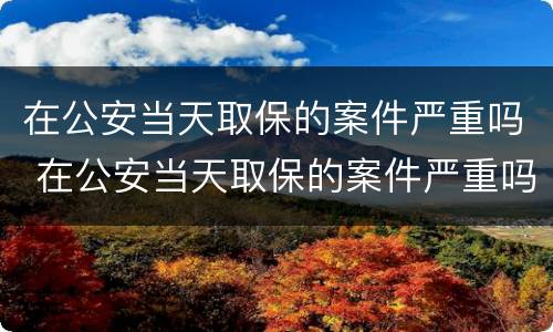 在公安当天取保的案件严重吗 在公安当天取保的案件严重吗怎么办