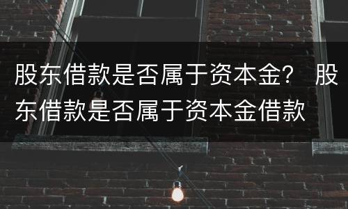 股东借款是否属于资本金？ 股东借款是否属于资本金借款