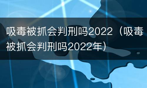 吸毒被抓会判刑吗2022（吸毒被抓会判刑吗2022年）