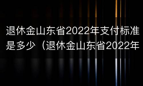 退休金山东省2022年支付标准是多少（退休金山东省2022年支付标准是多少呢）