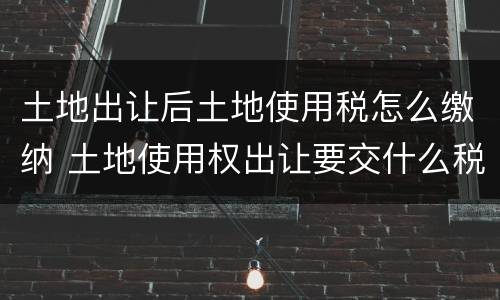 土地出让后土地使用税怎么缴纳 土地使用权出让要交什么税