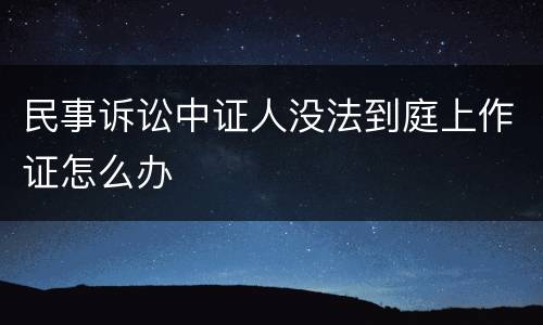 民事诉讼中证人没法到庭上作证怎么办