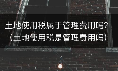 土地使用税属于管理费用吗？（土地使用税是管理费用吗）