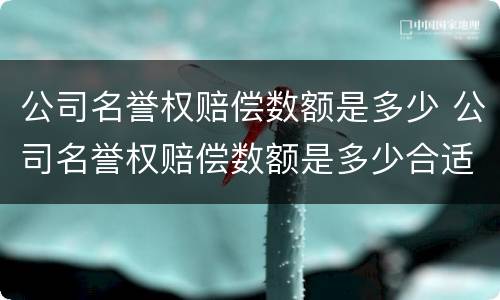 公司名誉权赔偿数额是多少 公司名誉权赔偿数额是多少合适