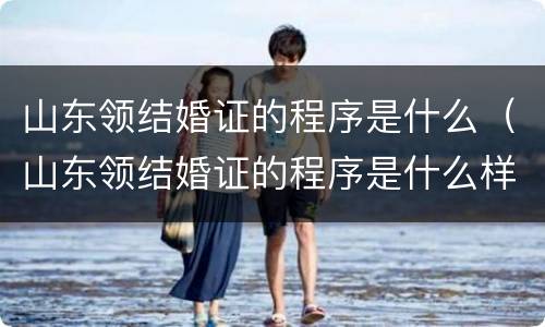 山东领结婚证的程序是什么（山东领结婚证的程序是什么样的）