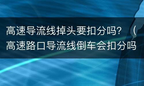 高速导流线掉头要扣分吗？（高速路口导流线倒车会扣分吗）