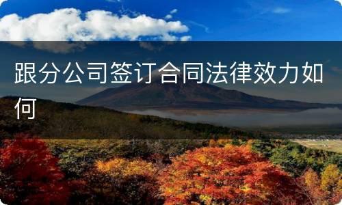 跟分公司签订合同法律效力如何