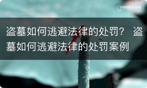 盗墓如何逃避法律的处罚？ 盗墓如何逃避法律的处罚案例