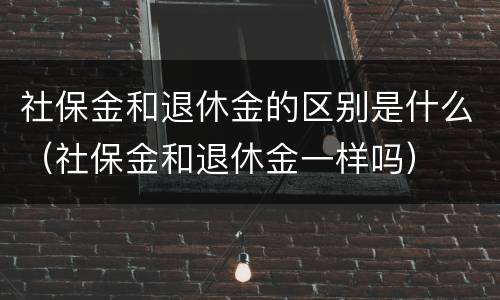 社保金和退休金的区别是什么（社保金和退休金一样吗）