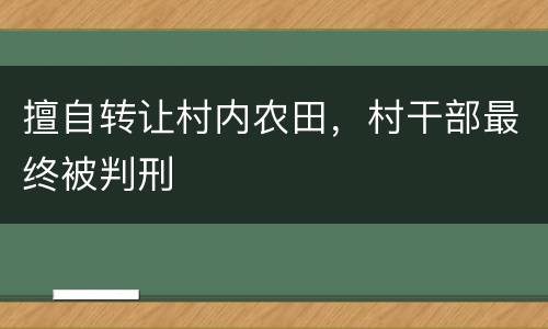 擅自转让村内农田，村干部最终被判刑