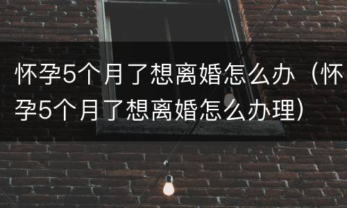 怀孕5个月了想离婚怎么办（怀孕5个月了想离婚怎么办理）