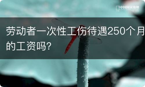 劳动者一次性工伤待遇250个月的工资吗？