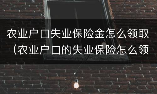 农业户口失业保险金怎么领取（农业户口的失业保险怎么领取）