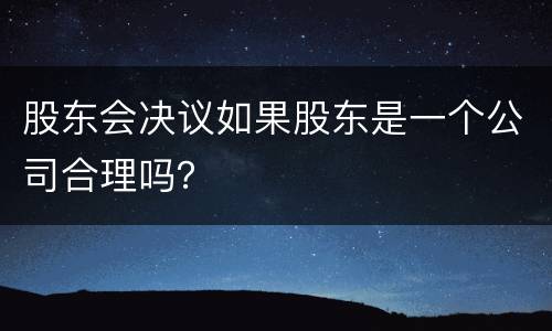 股东会决议如果股东是一个公司合理吗？