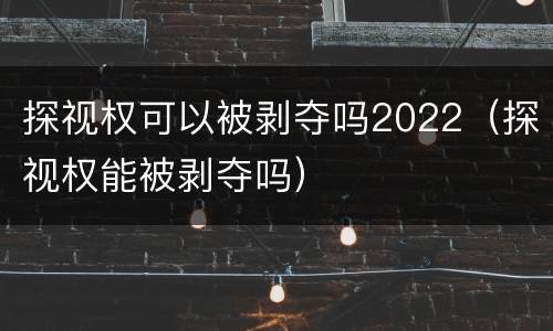 探视权可以被剥夺吗2022（探视权能被剥夺吗）