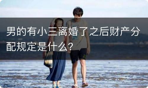 男的有小三离婚了之后财产分配规定是什么？