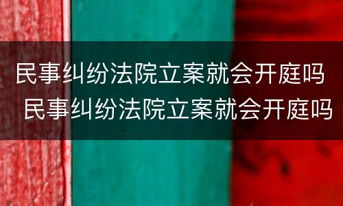 民事纠纷法院立案就会开庭吗 民事纠纷法院立案就会开庭吗