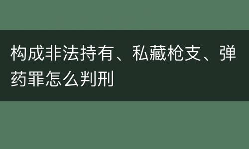 构成非法持有、私藏枪支、弹药罪怎么判刑