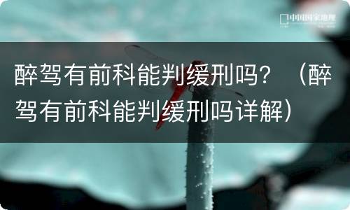 醉驾有前科能判缓刑吗？（醉驾有前科能判缓刑吗详解）