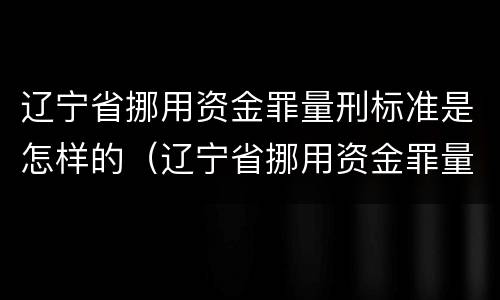 辽宁省挪用资金罪量刑标准是怎样的（辽宁省挪用资金罪量刑标准是怎样的呢）